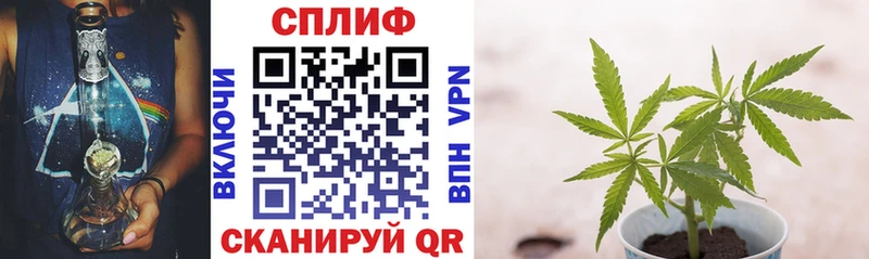 Где найти наркотики Гусь-Хрустальный Кокаин  Конопля  Меф  Гашиш 