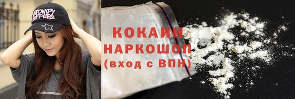 ГАЛЛЮЦИНОГЕННЫЕ ГРИБЫ Горняк