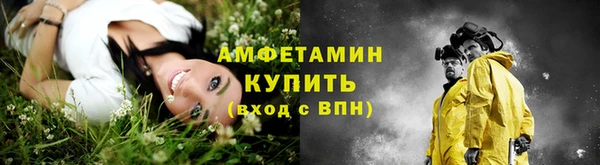ГАЛЛЮЦИНОГЕННЫЕ ГРИБЫ Горняк