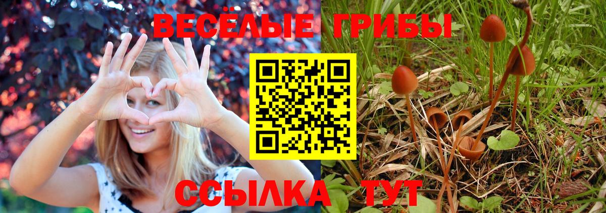 Гусь-Хрустальный  Псилоцибиновые грибы мухоморы  Вход с VPN 